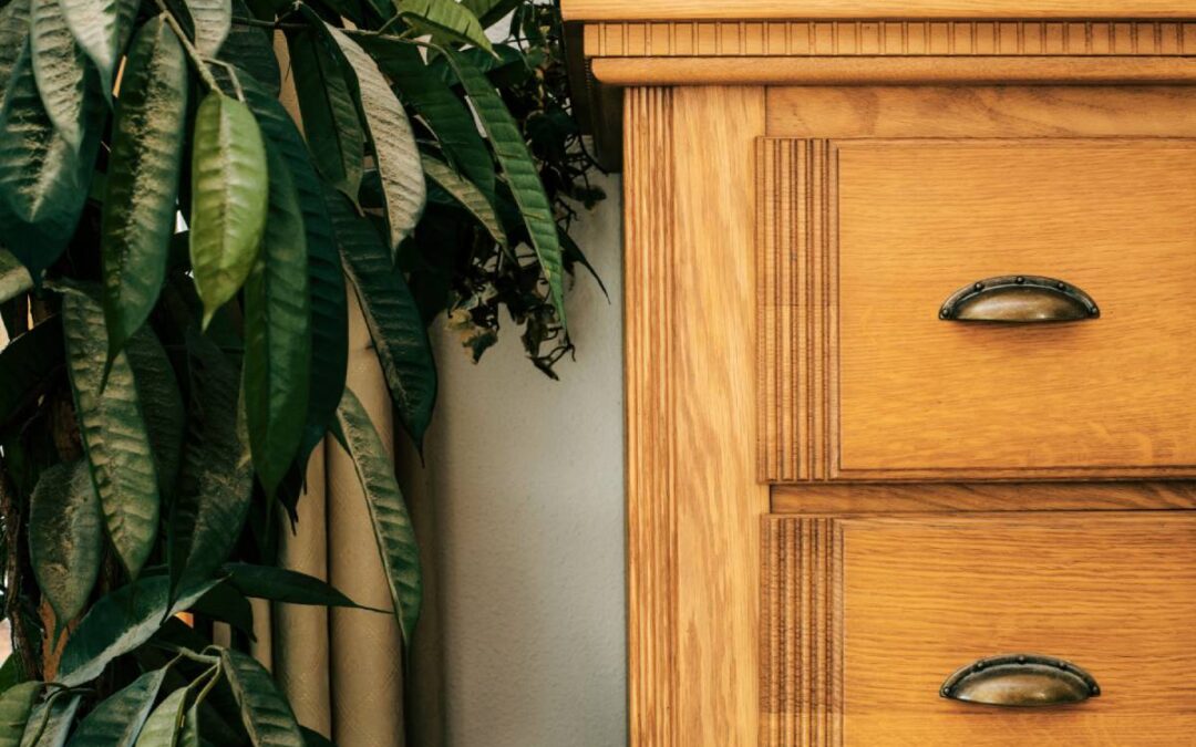 WoodSmart ile Doğal Ahşap Tasarımlar Hayat Buluyor
